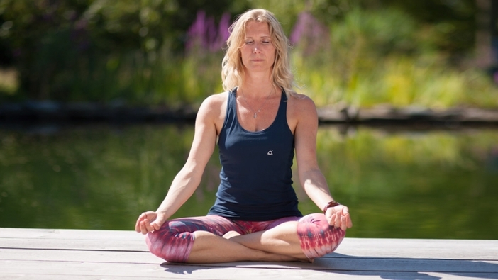 【中古】 Prana Pranayama Pranavidya Amazon | Prana Pranayama Pranavidya | Swami, Niranjanananda